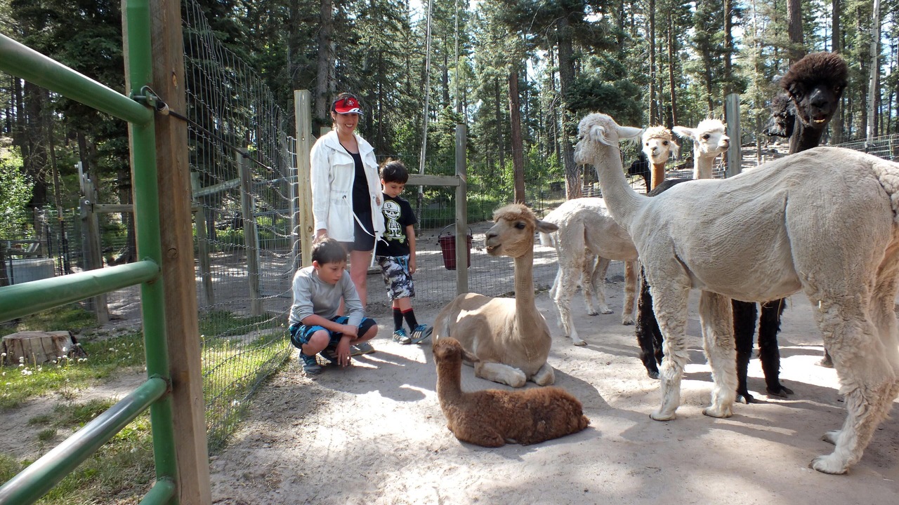 Photo of Others in Jemez Springs