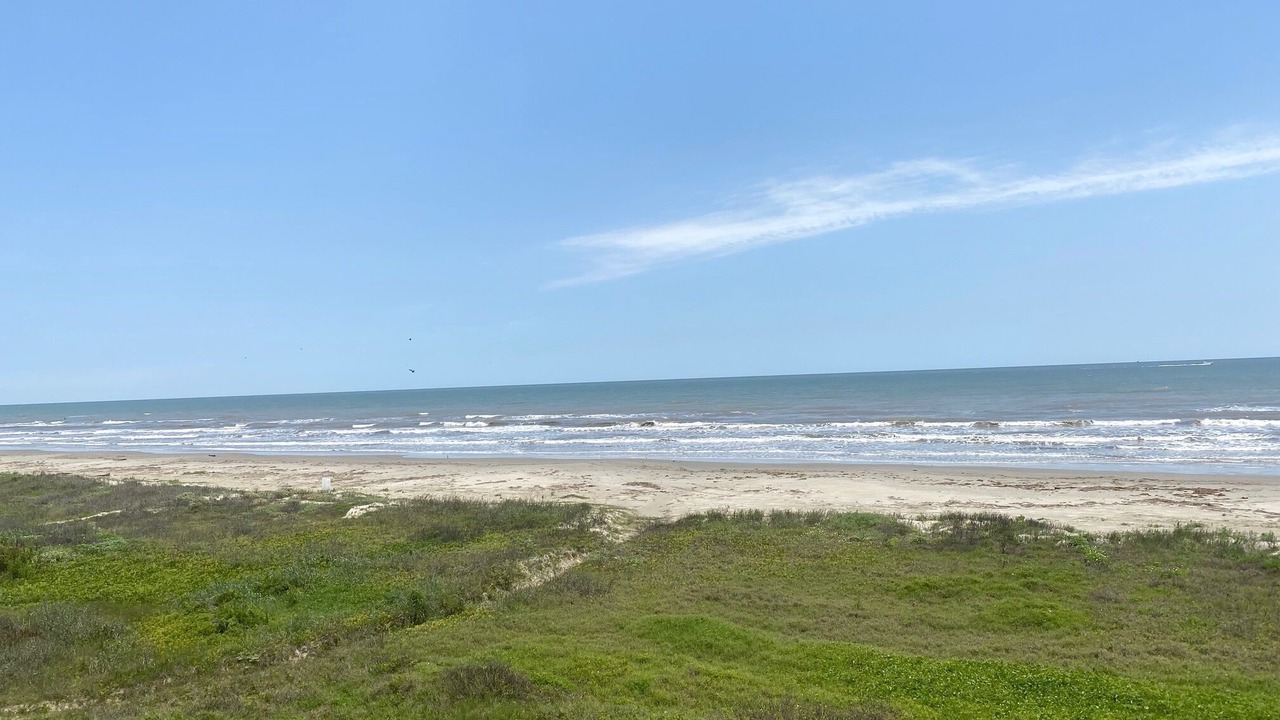 Photo of Others in Terramar Beach