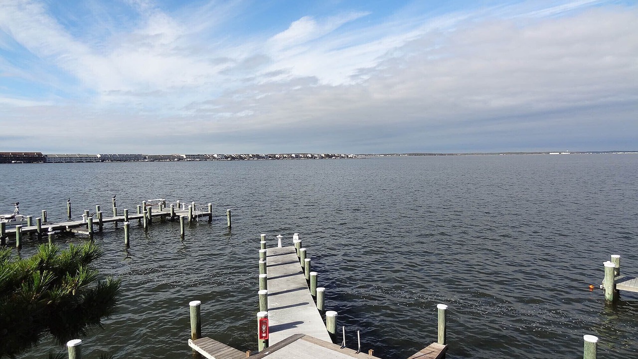 Photo of Others in Midtown Ocean City