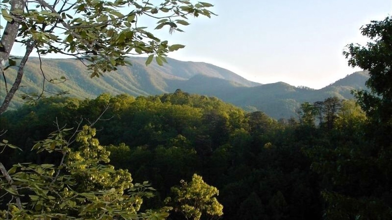 Photo of Others in Gatlinburg - Pigeon Forge