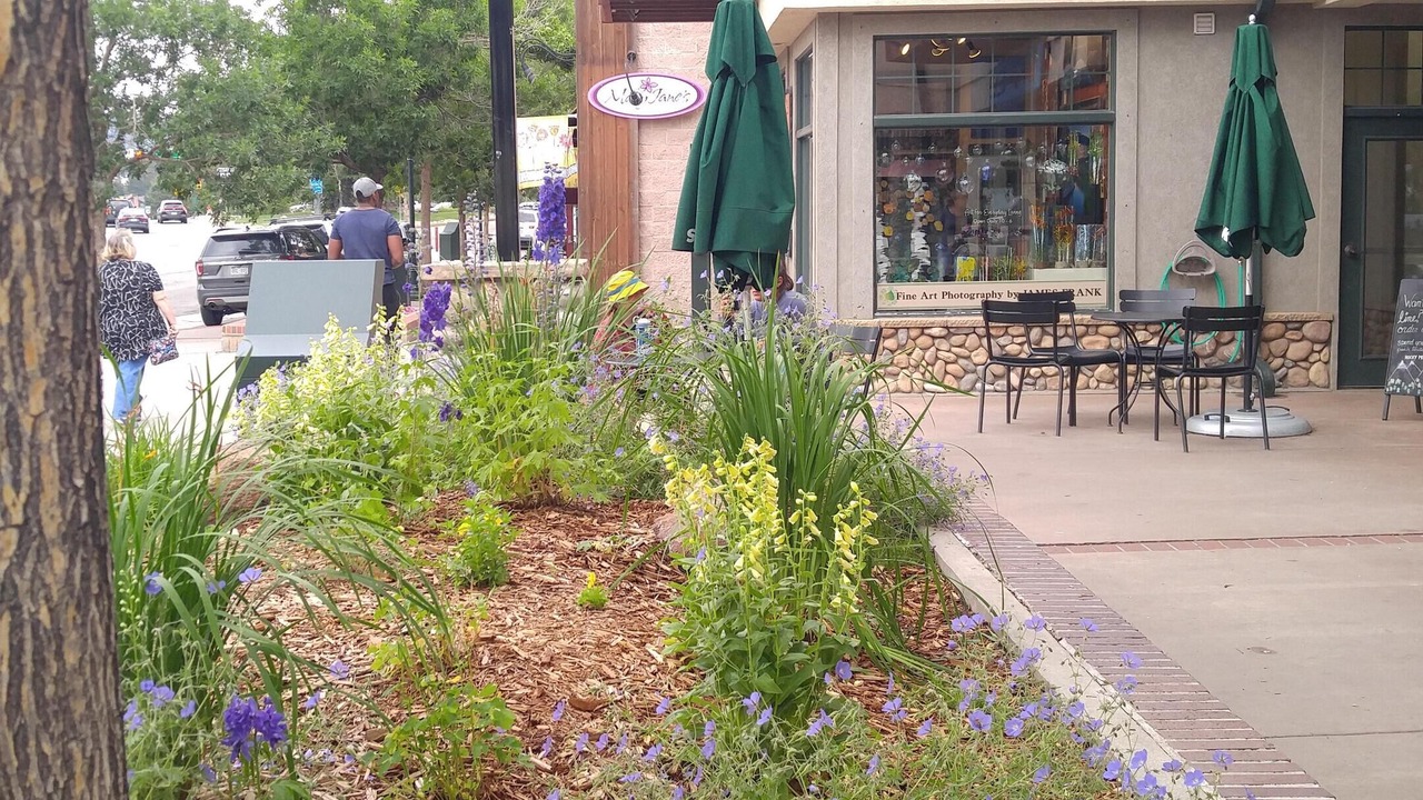 Photo of Others in Estes Park