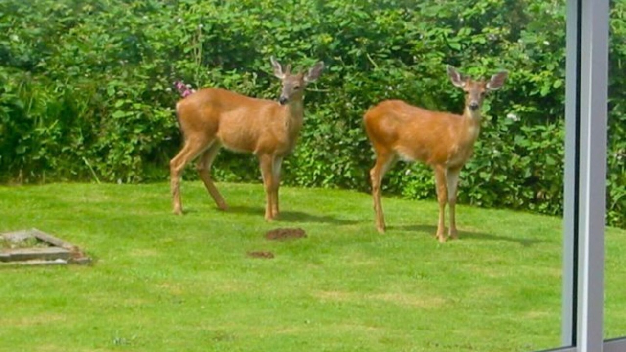 Photo of Others in Arch Cape