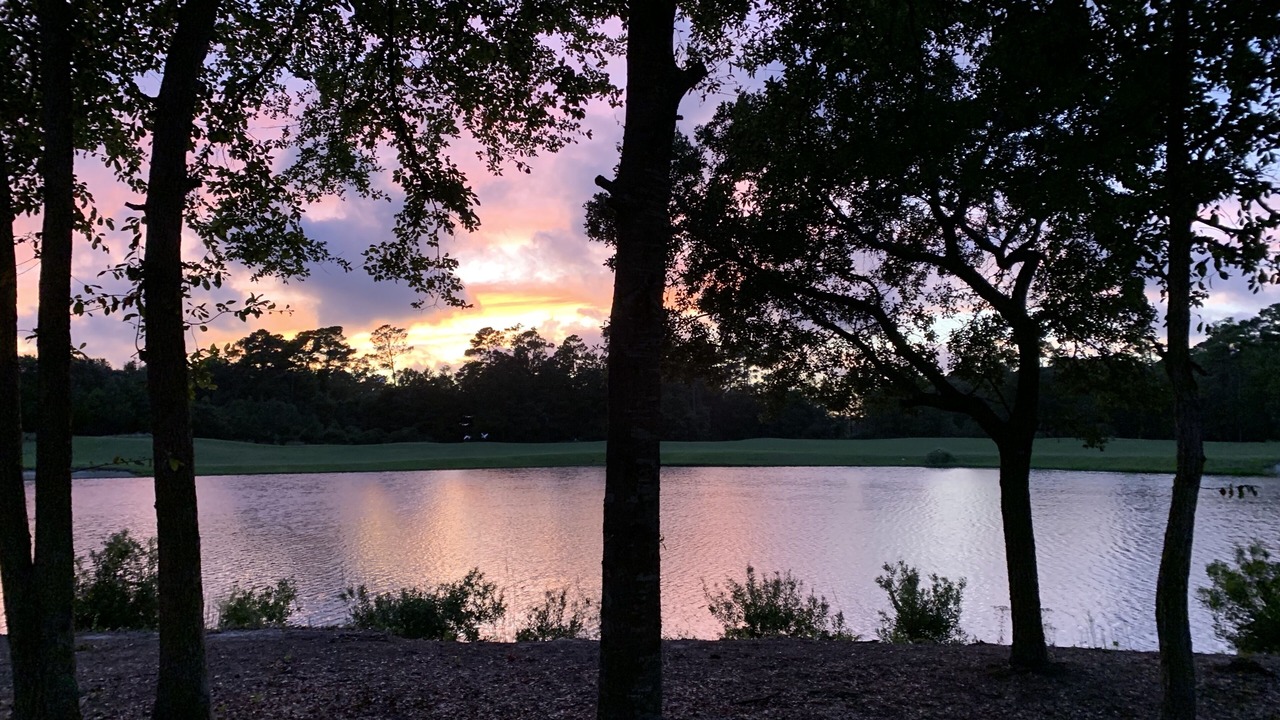 Photo of Outdoor in Pawleys Island