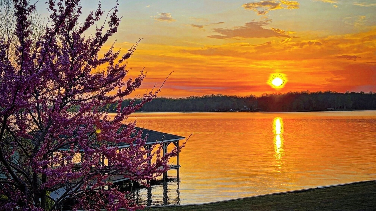 Photo of Outdoor in Bumpass