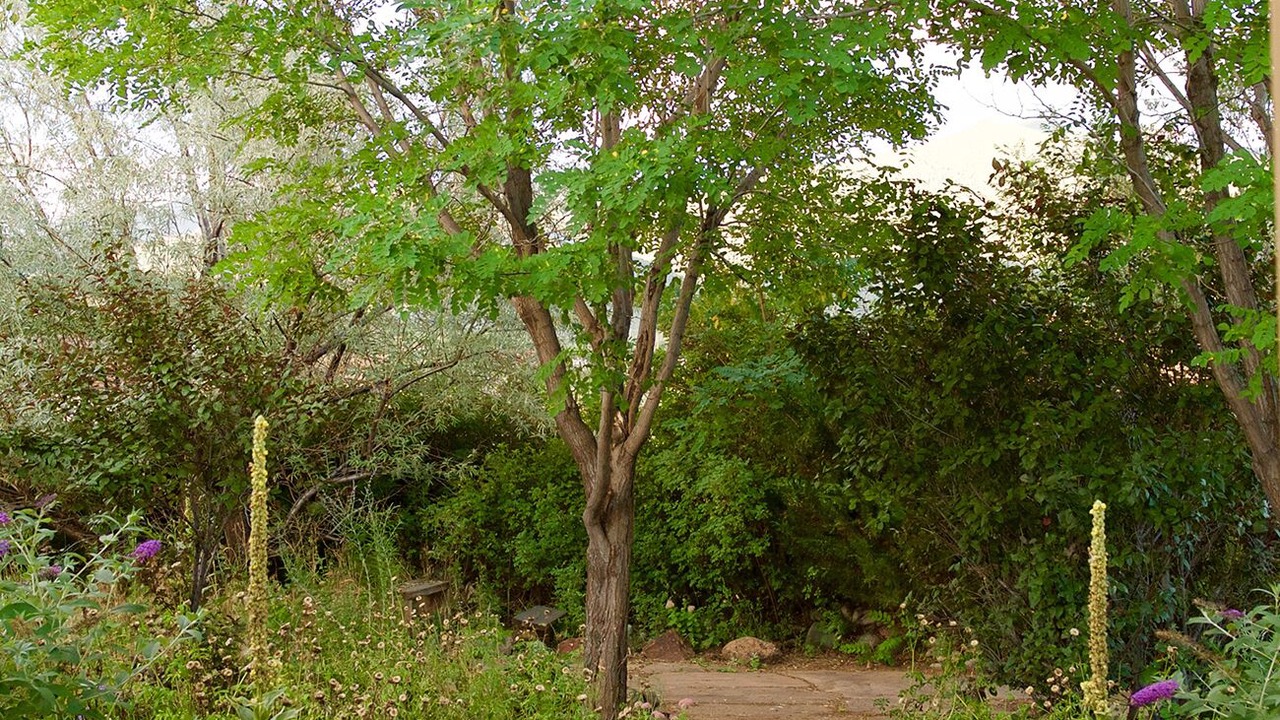 Photo of Outdoor in San Cristobal