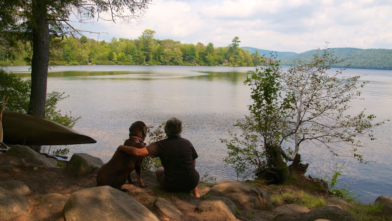 Photo of Others in North River