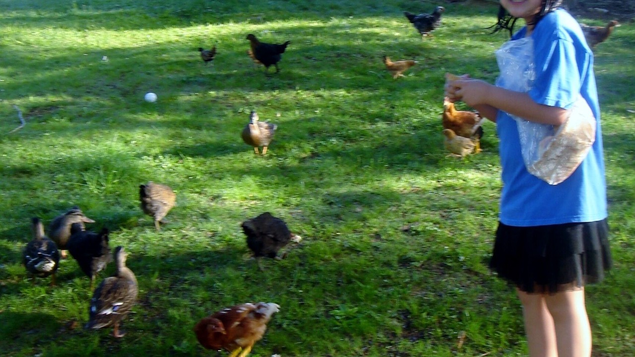 Photo of Others in North River