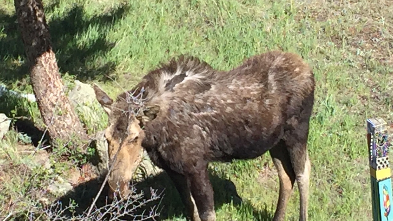 Photo of Others in Boulder