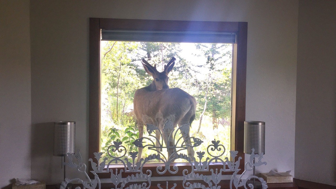 Photo of Bedroom in Boulder