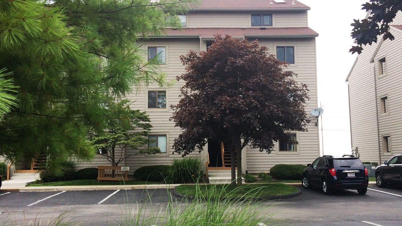 Photo of Others in Port Clinton