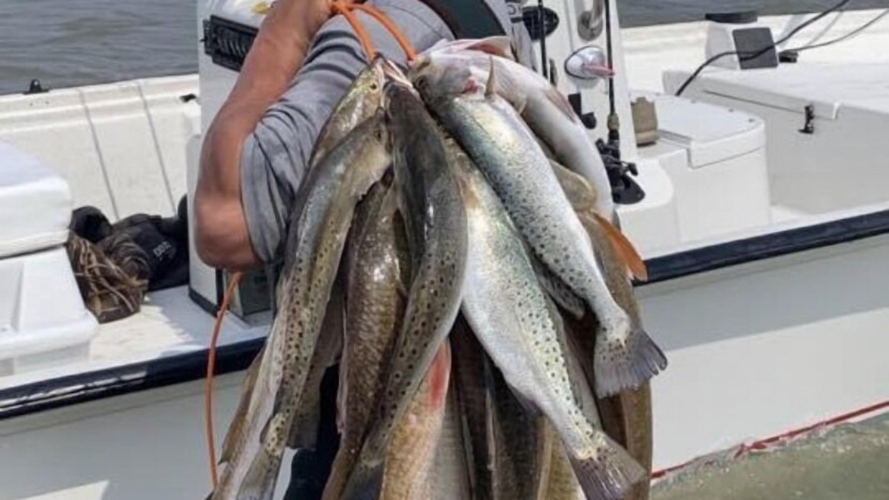Photo of Others in Port Lavaca