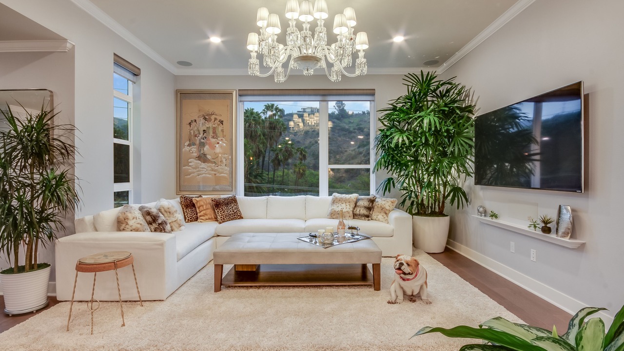 Photo of Livingroom in Hollywood Hills
