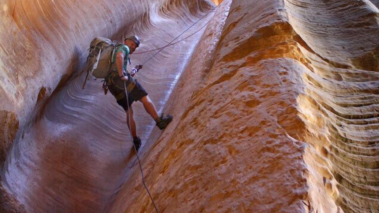 Photo of Others in Zion National Park East Entrance
