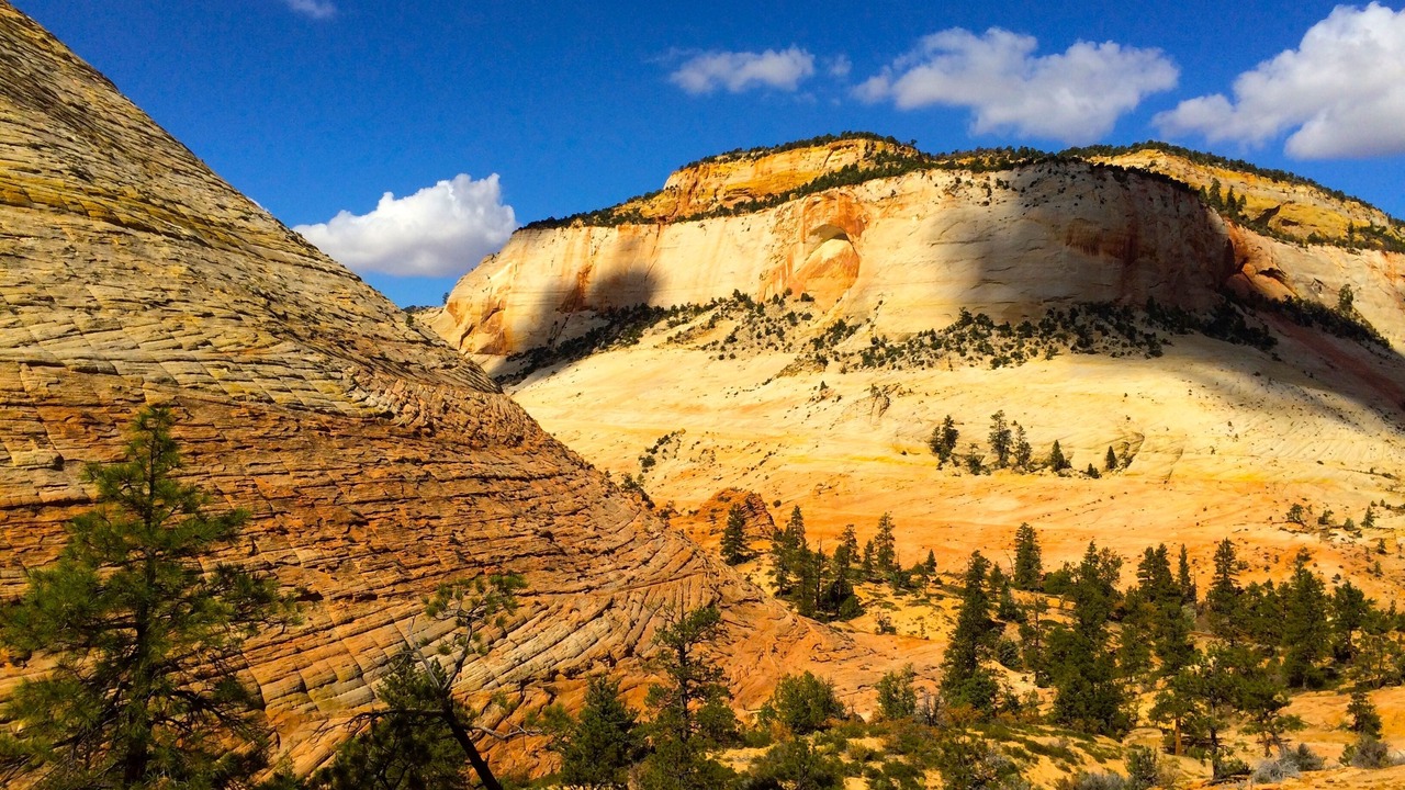 Photo of Others in Zion National Park East Entrance