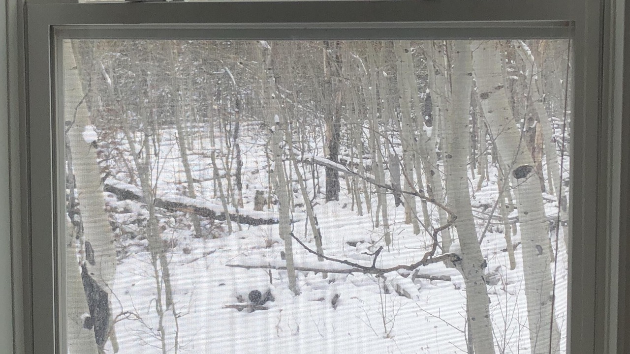 Photo of Others in Crystal Lake