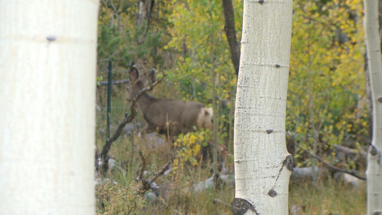 Photo of Others in Crystal Lake