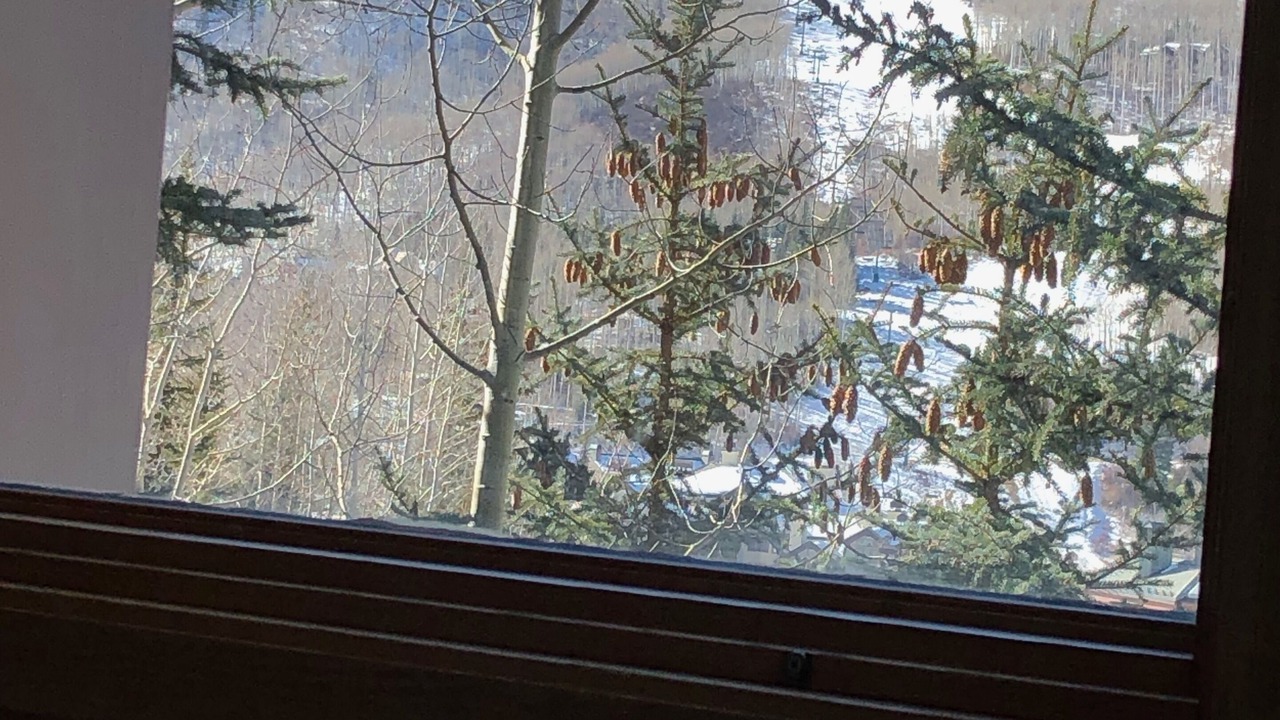 Photo of Others in Highlands Townhomes