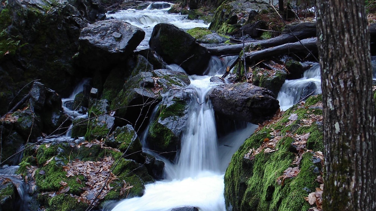 Photo of Outdoor in Watersmeet