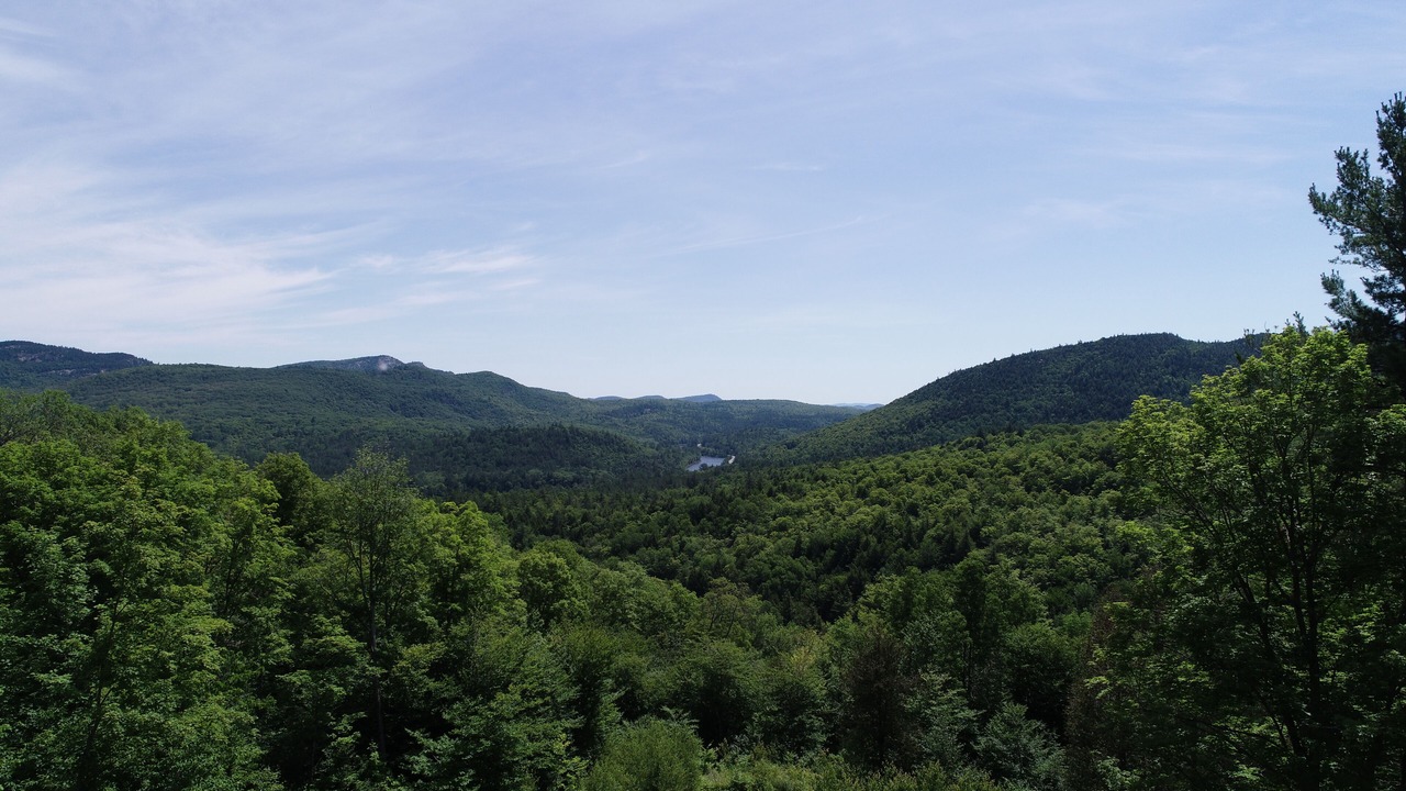 Photo of Others in North River