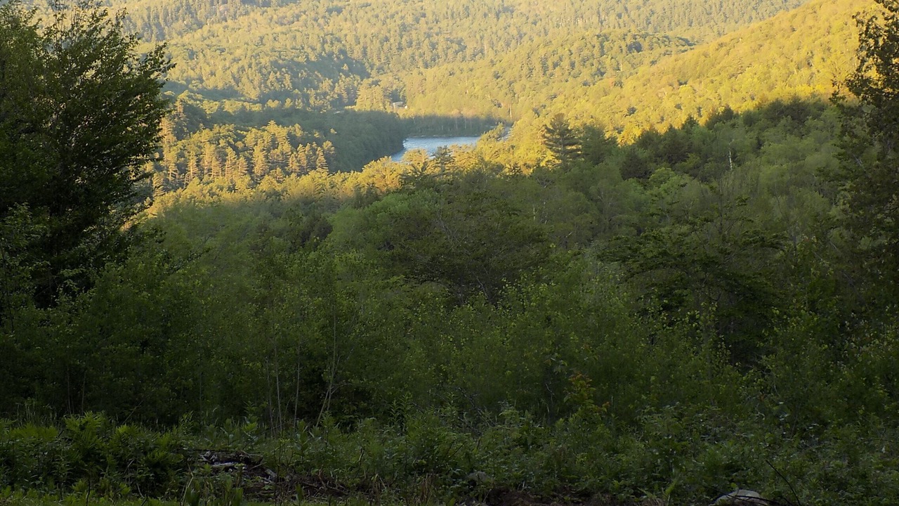 Photo of Outdoor in North River