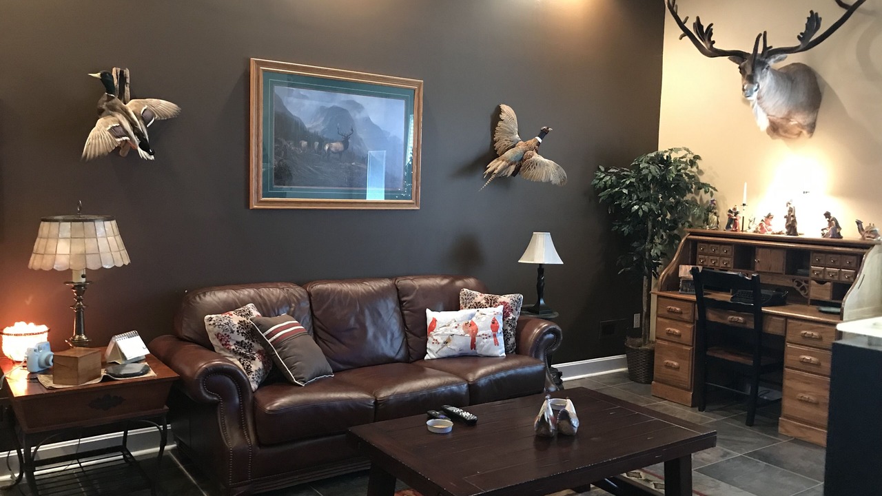 Photo of Livingroom in Milford