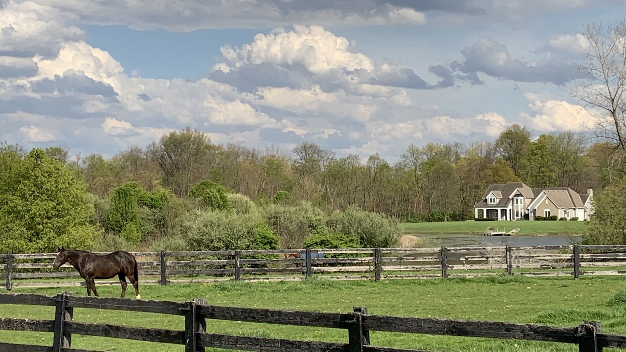 Photo of Outdoor in Milford