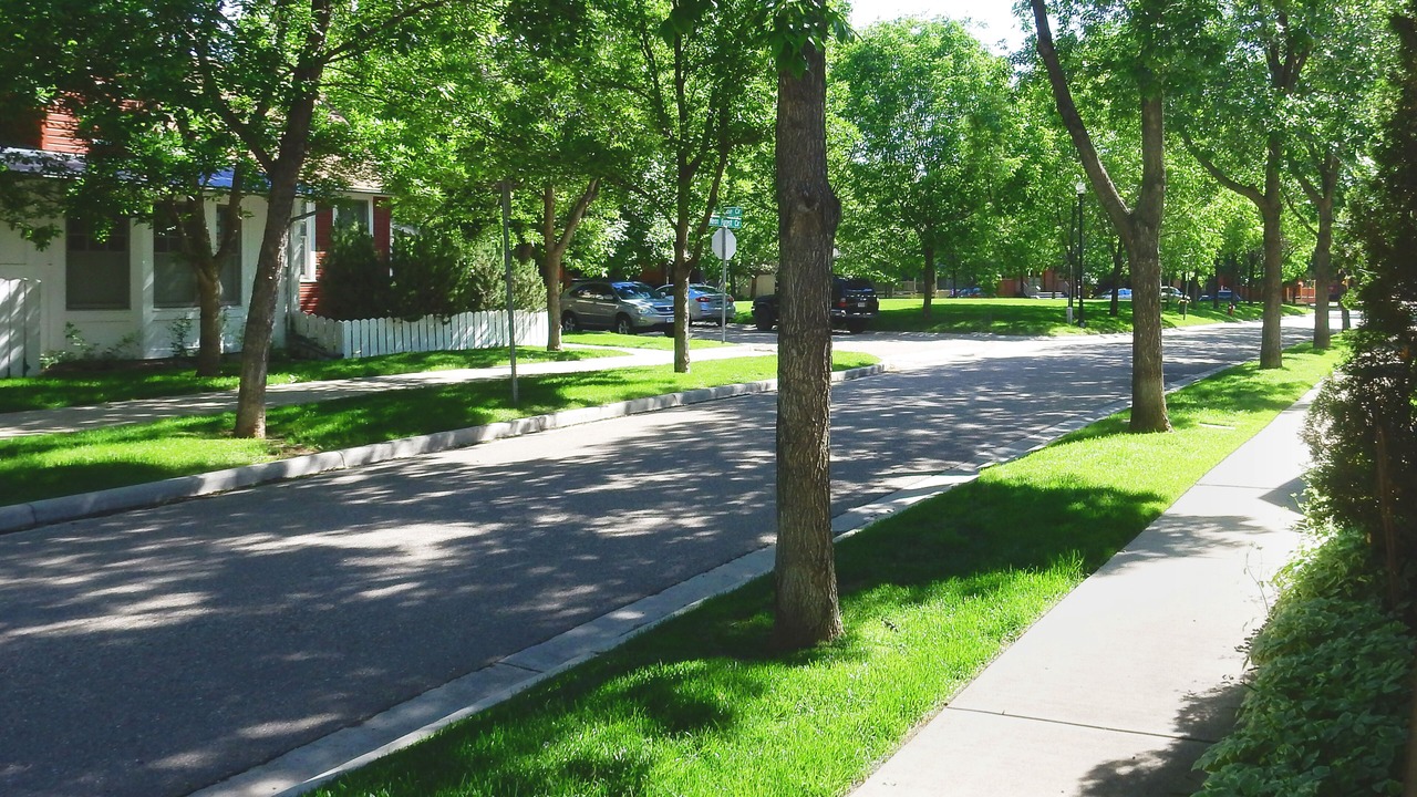 Photo of Others in Longmont