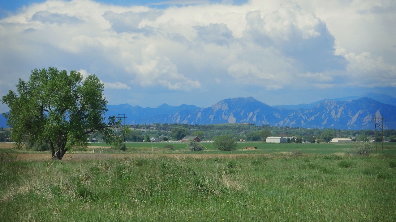 Photo of Others in Longmont