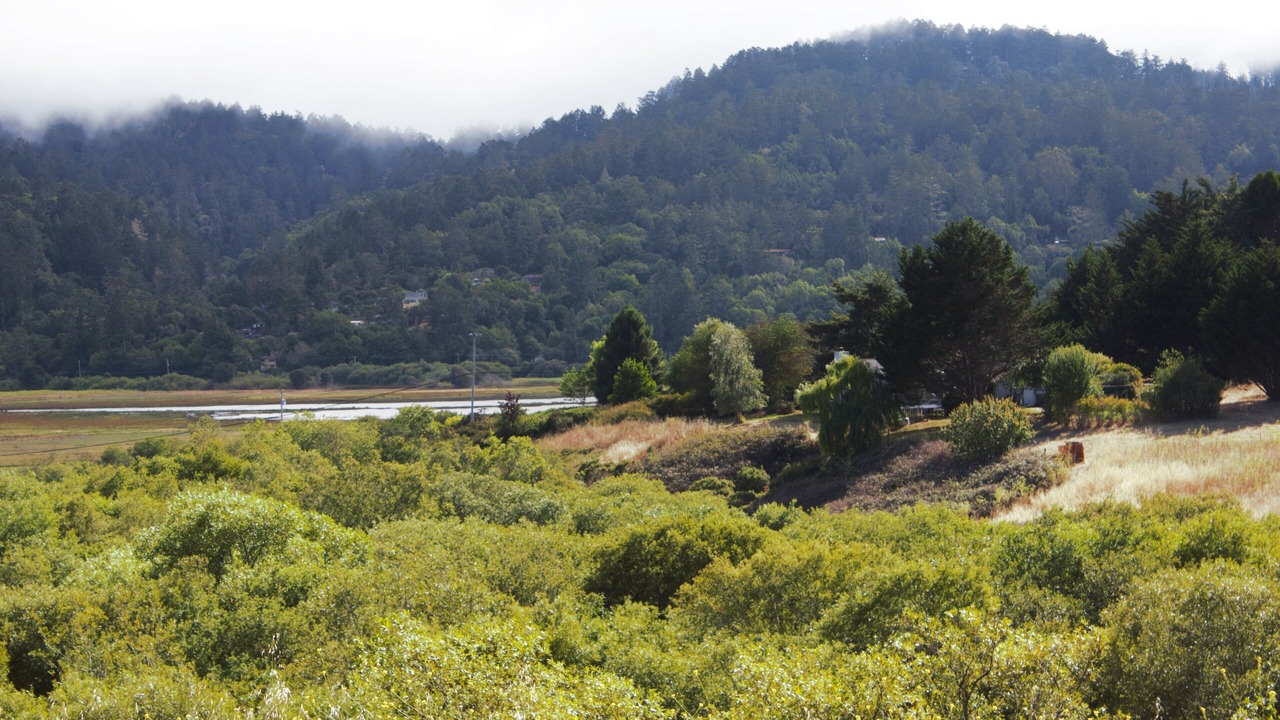 Photo of Others in Point Reyes Station
