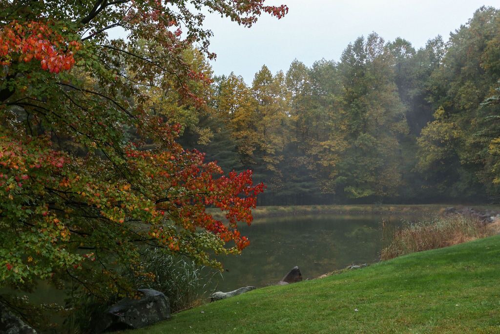 Photo of Outdoor in Narvon