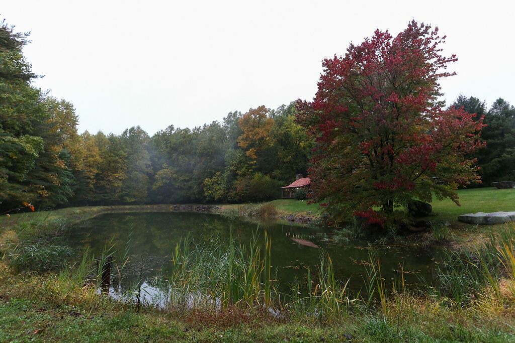 Photo of Outdoor in Narvon