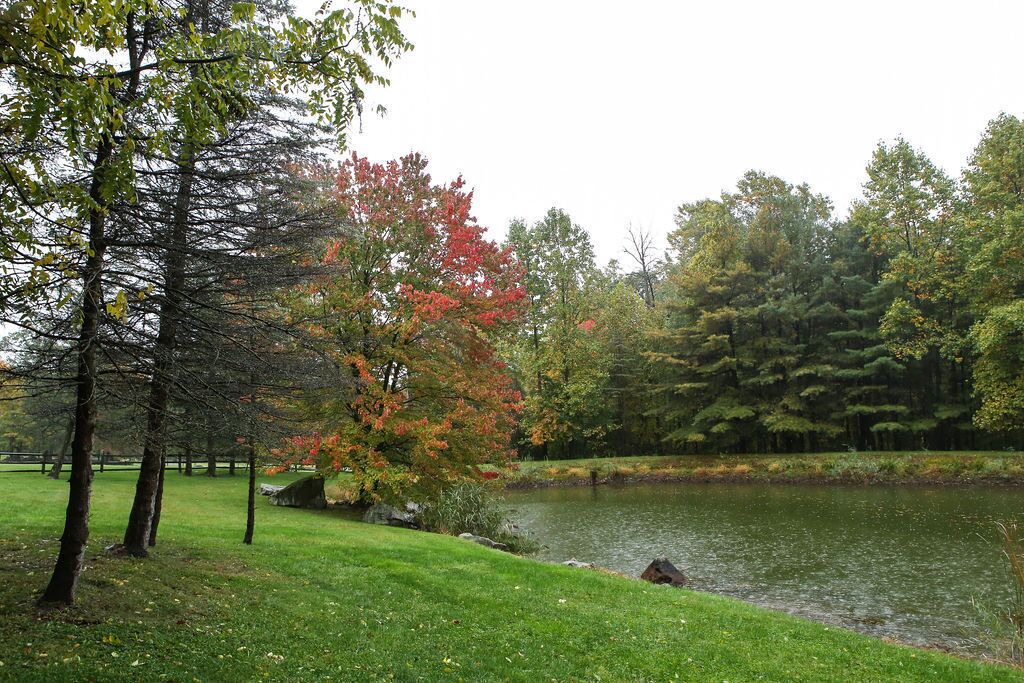 Photo of Outdoor in Narvon