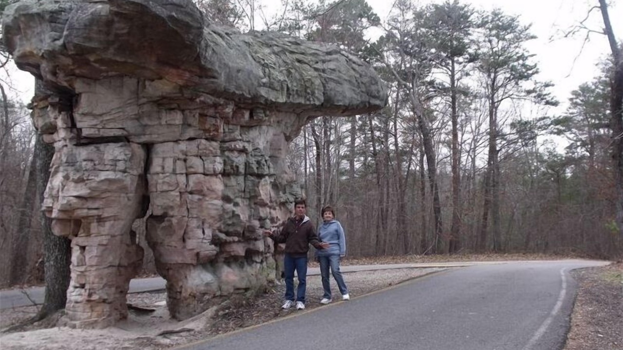 Photo of Others in Mentone