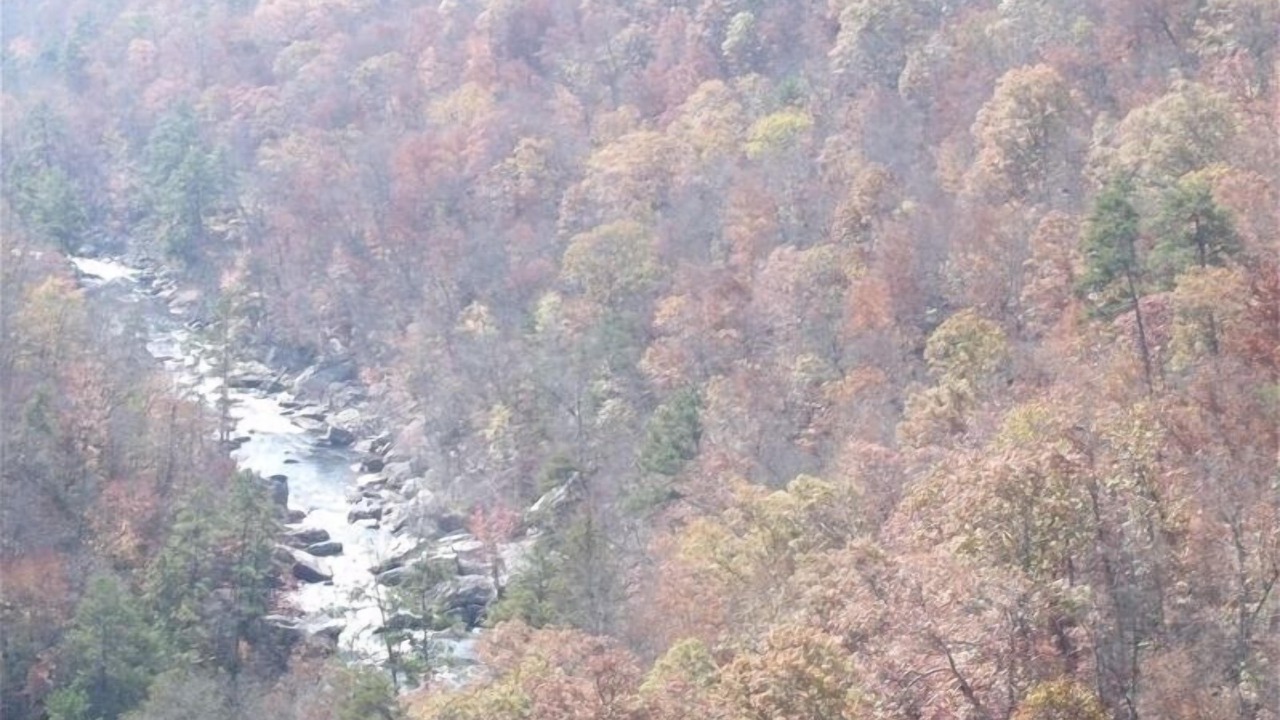 Photo of Others in Mentone