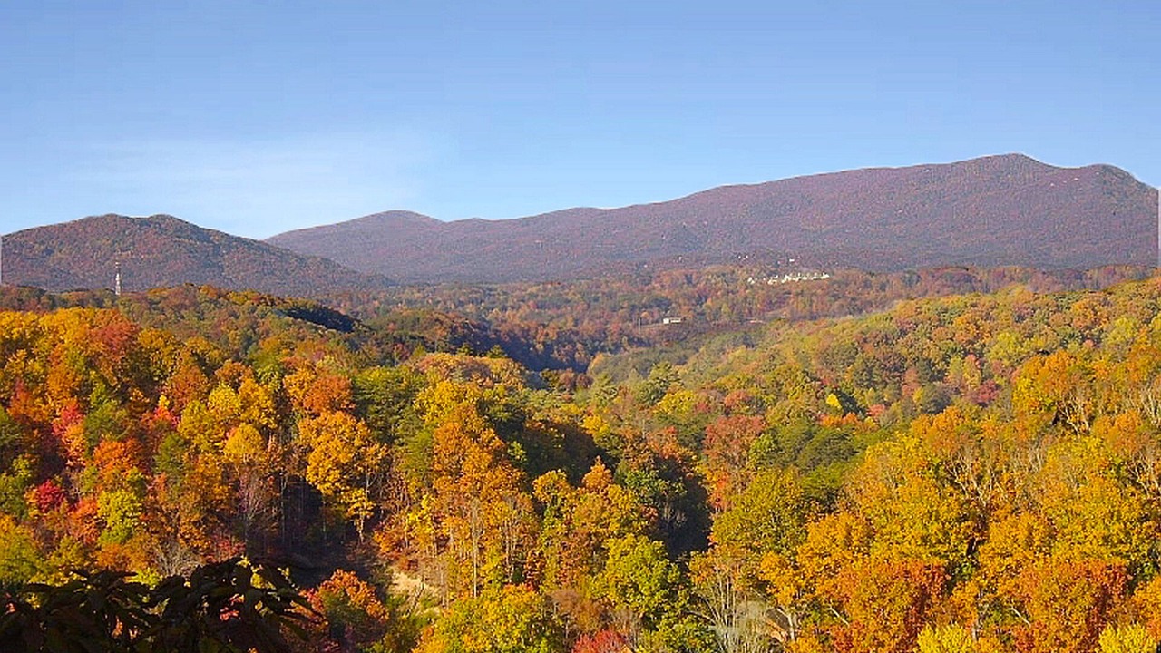 Photo of Others in Sevierville