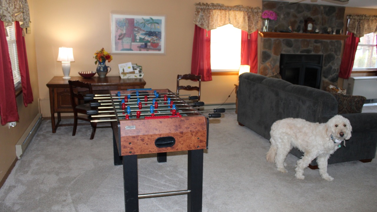 Photo of Livingroom in Town of Lysander