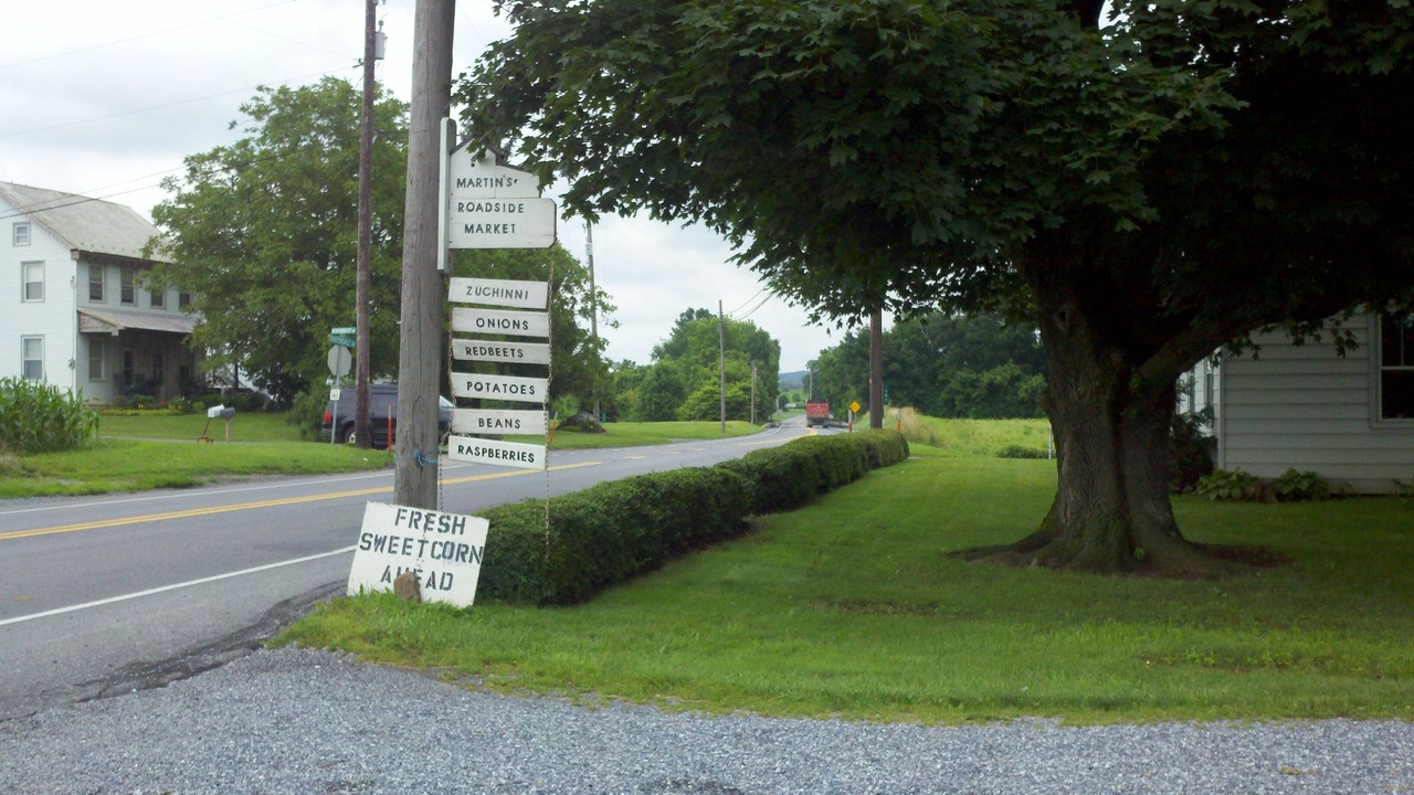 Photo of Others in Terre Hill