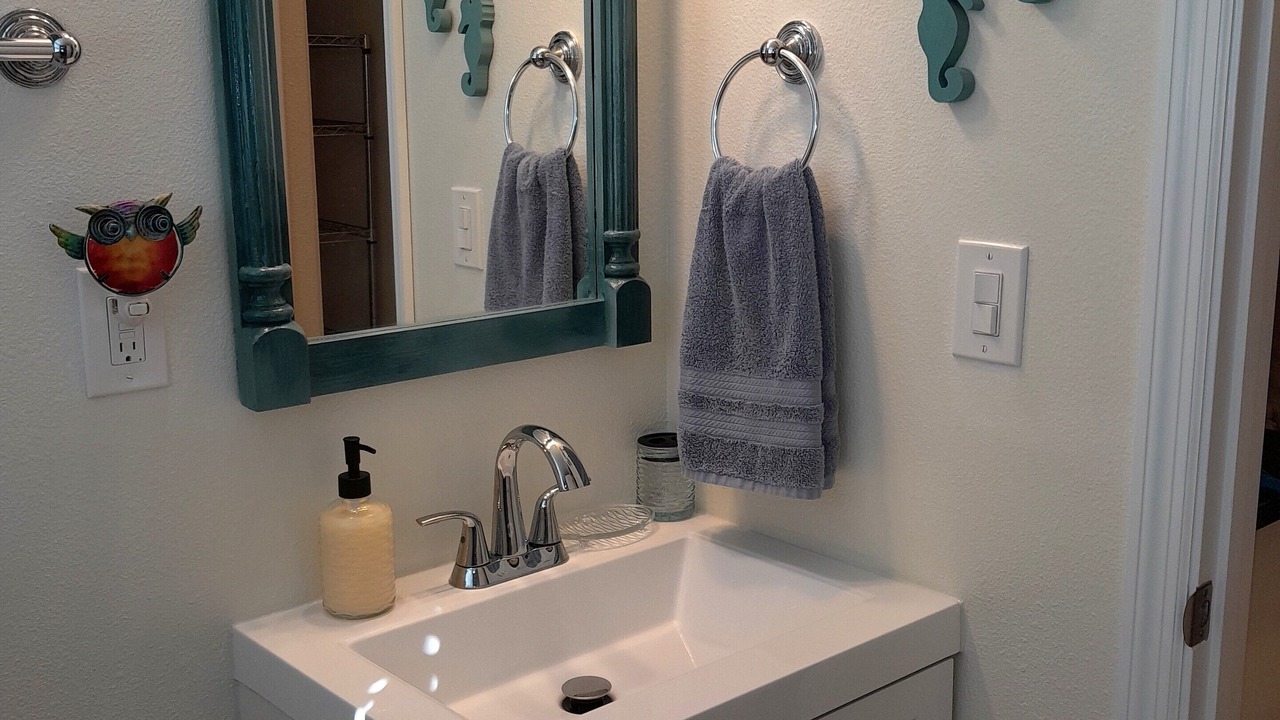 Photo of Bathroom in St. Pete Beach