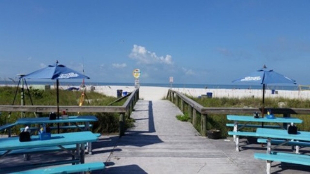Photo of Others in St. Pete Beach