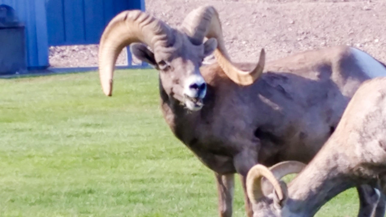 Photo of Outdoor in Green Valley North