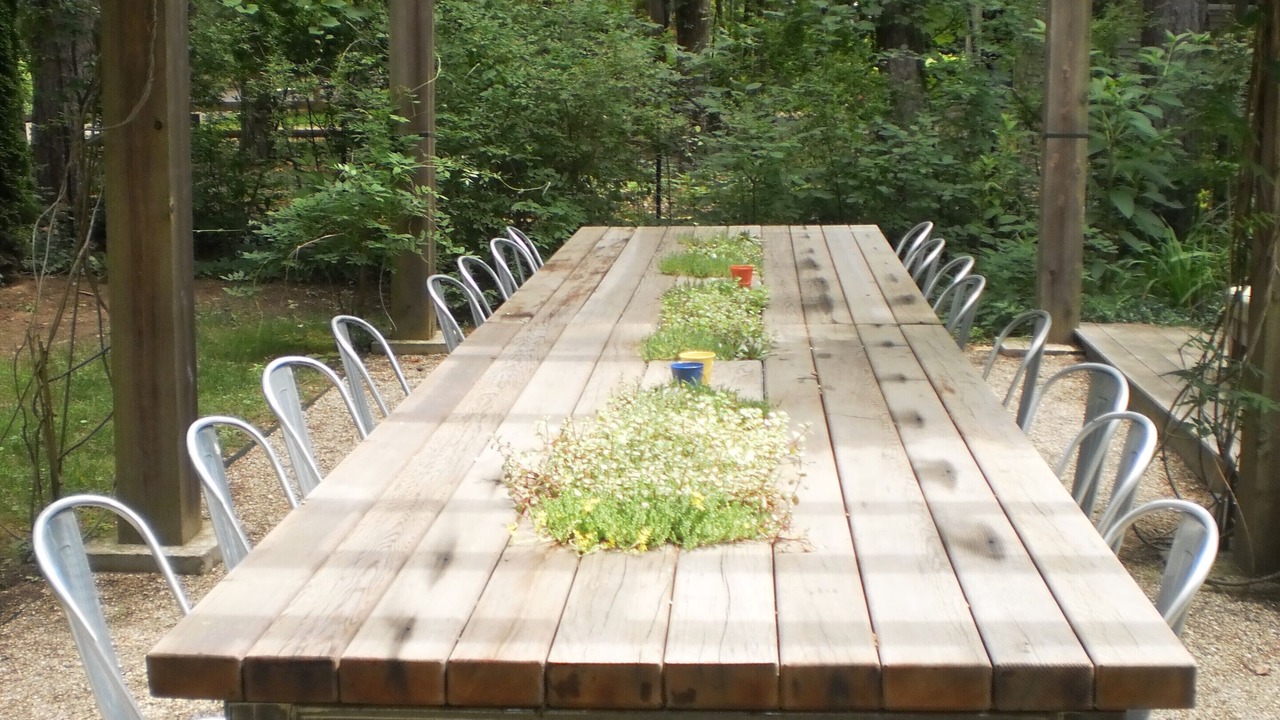 Photo of Outdoor in Harbert