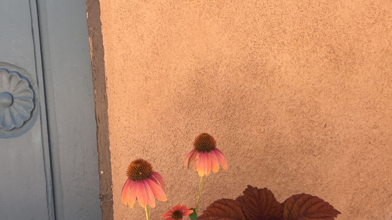 Photo of Others in Taos