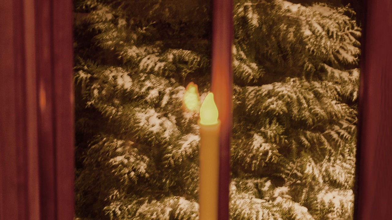 Photo of Others in Franklin