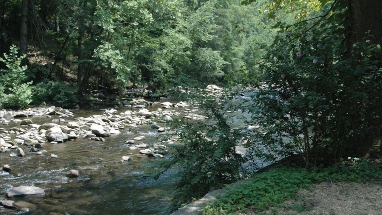 Photo of Others in Gatlinburg