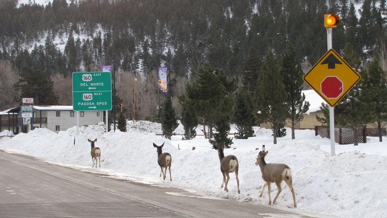 Photo of Others in South Fork