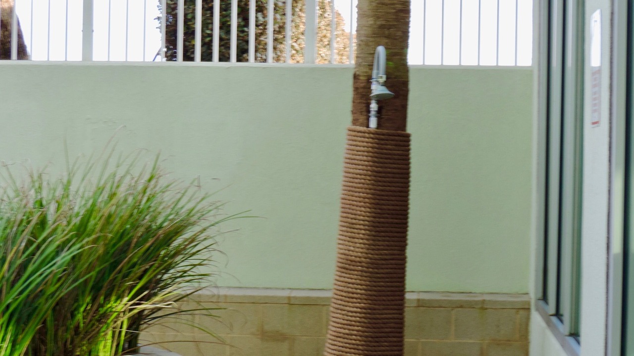 Photo of Outdoor in Galveston