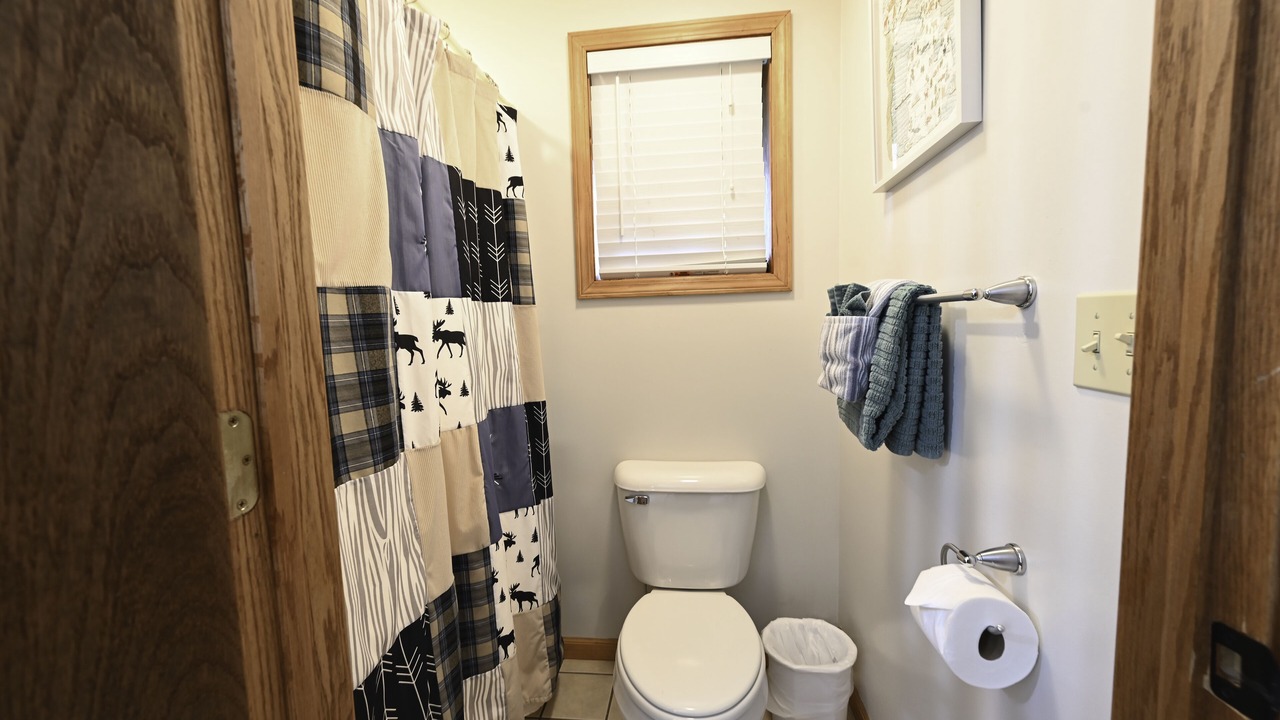 Photo of Bathroom in Mancelona