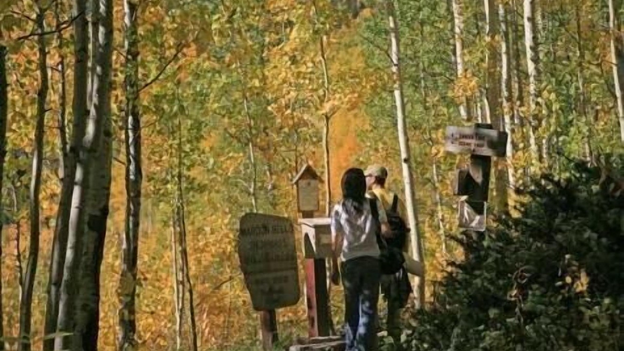 Photo of Outdoor in Golden