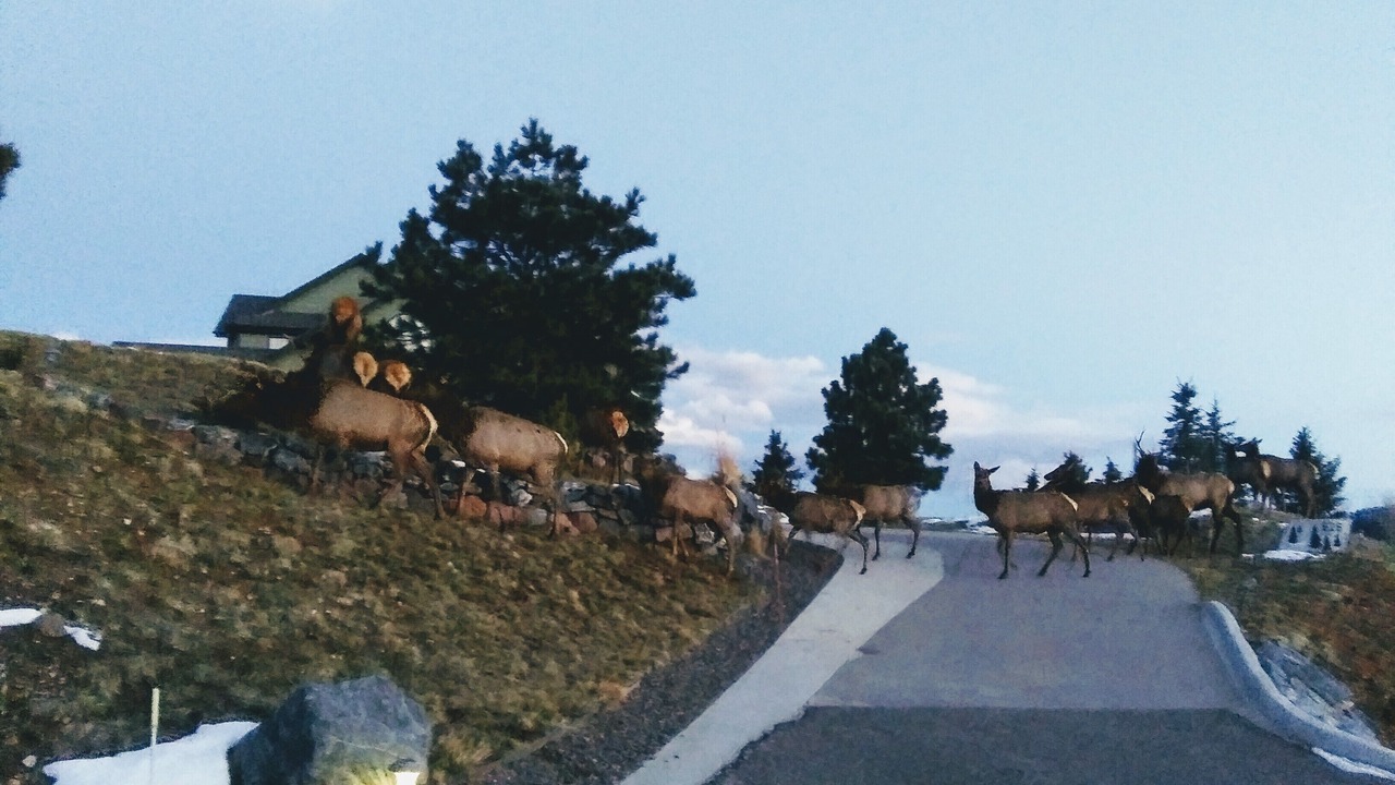 Photo of Others in Golden