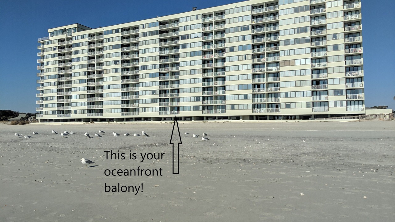 Photo of Others in Myrtle Beach